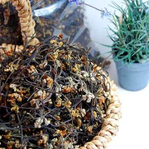 26년 지리산 건고사리 300g 국산 햇고사리 야생 산나물 말린 고사리