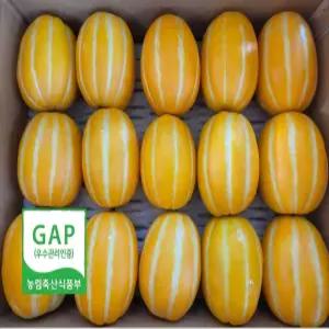성주참외한아름 5kg (11-20과)