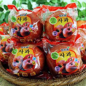 [함초롬] 껍질째 먹는 경북 세척사과 5kg (23-26과)