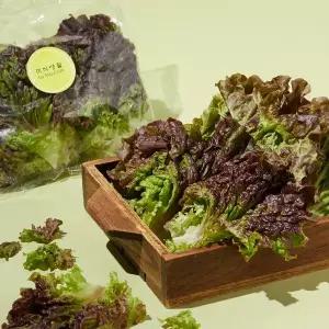 친환경 적상추 120g/봉
