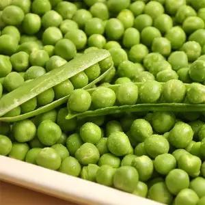 국내산 햇 껍질 완두콩 1kg 2kg 3kg