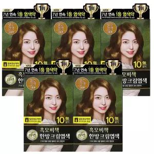 리엔 흑모비책 한방 크림 염색 120g 밝은갈색 5개