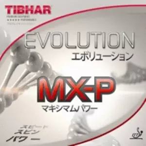 [패기앤코]에볼루션 MX P 티바 탁구 러버