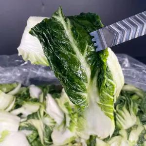 연주푸드 염지 냉동우거지 배추우거지 업소용 10kg 국내제조