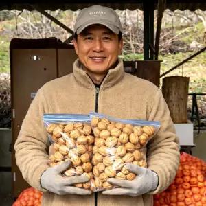 100% 국산 영동 햇 호두 중(m) 500g