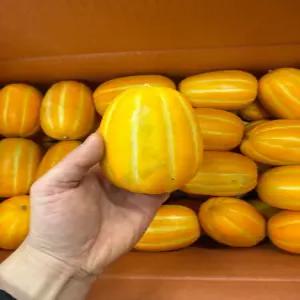 성주참외 꿍이네 꿀참외 3kg 가정용 못난이 고당도