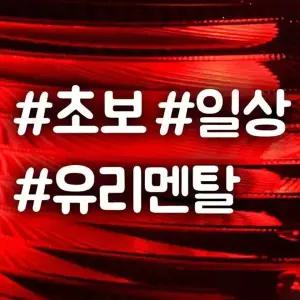 [하프클럽/]안전운전스티커 반사시트지 일상 문구 스티커