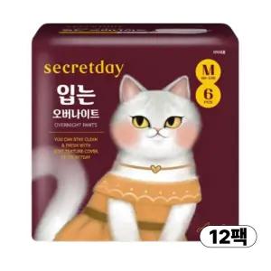 시크릿데이 입는 오버나이트 중형 6개입 x 12팩