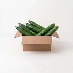 프리미엄 가시오이 2kg 아삭아삭 청오이