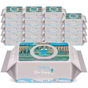 페넬로페 본보야지 루브르 캡형 70매 20입 1개