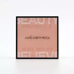 정샘물 아티스트 아이 팔레트 15g 1개 - R