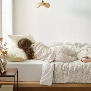 [롯데백화점]박홍근홈패션 로렌조 세미마이크로 차렵이불 싱글(S) 150X210cm