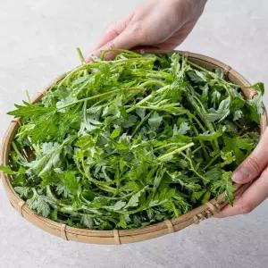 당일수확 해풍 맞은 거문도 쑥 4kg
