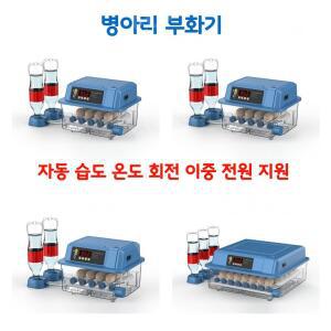 병아리부화기 메추라기 조절 단일 전자동 육추기 장치 공급 메추리 자동 8롤러 달걀