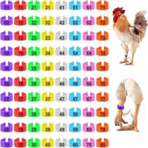 오리 밴탐 기니 비둘기 거위 게임폴을 위한 80개의 닭 다리 고리 16mm 조절 가능한 밴드 8가지 색상의