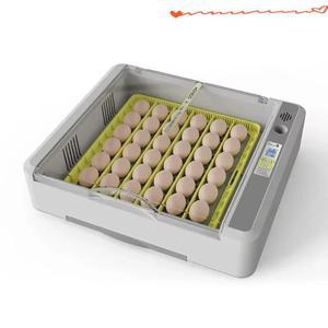 자동 36 계란 인큐베이터 가격 중국 및 닭