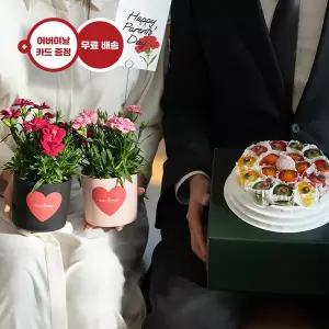 [유어버스데이](어버이날)카네이션 화분 세트(2pcs)+백년초 떡케이크