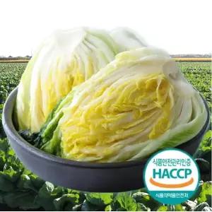 HACCP인증 아삭아삭 해남 절임배추 10kg,20kg