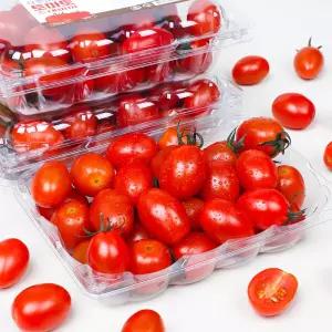 스테비아 방울토마토 500g / 대저 흑대추방울토마토 500g 택