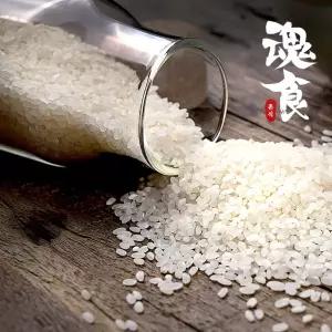 [혼식]국산 백미 (신동진쌀) 1kg / 2025년산