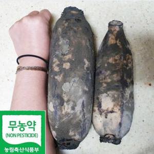 [초록땅]국산 10년째 무농약 파지 / 흙연근 / 슬라이스