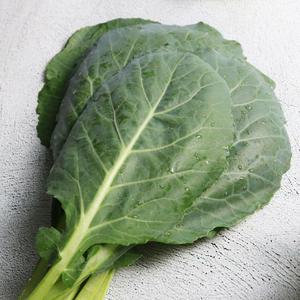 [당일수확발송] 충북 진천 쌈케일 1kg