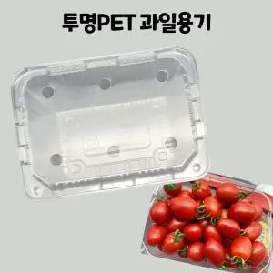 일회용 포장 pet 사각 투명 과일 용기 용품 방울토마토 / 딸기 500A-1 100개