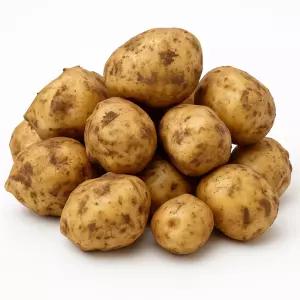 [해들애] 수미감자 26년 햇감자 2/3/5 (5kg 중 기준) (26년 햇감자)