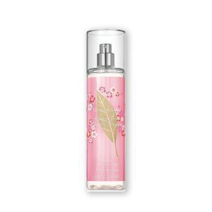 그린티 체리블라썸 바디 미스트 236ml