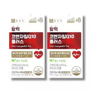 종근당 활력 코엔자임Q10 플러스 500mg 30캡슐 2박스 /wb