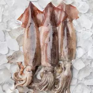신선한 손질오징어 2미 280g 3팩