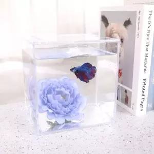 베타 은신처 꽃 침대 블루