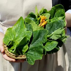 국내산 부드러운 호박잎 500g