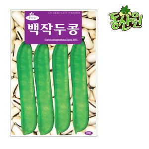 백작두콩씨앗 10립  흰작두콩 콩씨앗 종자 텃밭채소