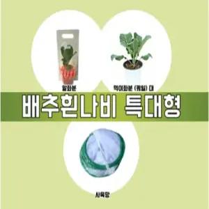 배추흰나비알화분(특대형)3종세트