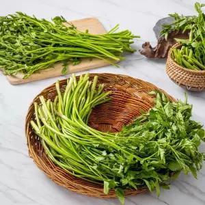 당일수확! 국내산 미나리 1kg / 2kg /GM