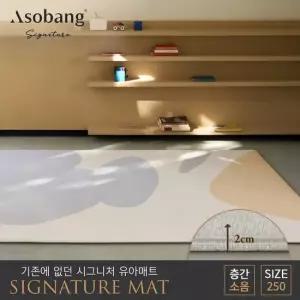 아소방 시그니처 유아 놀이방매트 클로드 250 250x150x2cm)