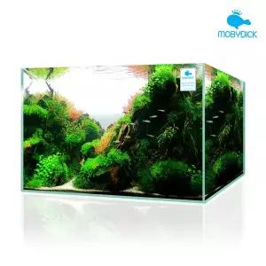 [모비딕]BOX_45슬림 유리어항 45x30x32 5T [무료배송]