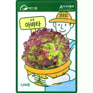 아바타 상추 씨앗 1000립 아바타 포기상추씨 쌈채소 종자