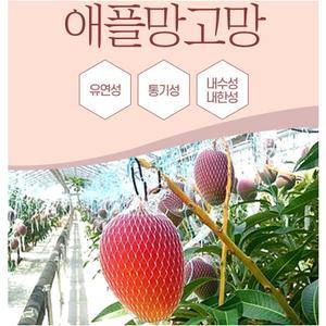알파다이아몬드 네트 망고망 애플망고망 과일재배망 과일망 100장 묶음 40cm
