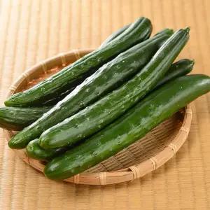 국내산 가시오이 취청오이 특품 4kg