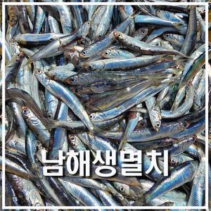 남해 바다 급냉 손질 생 멸치 500g 산지 직 송 멸치 쌈밥 털이 튀김 찌개 제철 밥상 해물