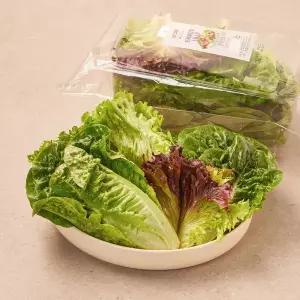 샐러드 채소 모둠 (팩)