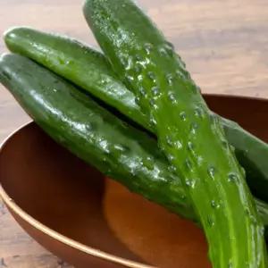 싱싱 국산 취 청 오이 5kg 청 오이 한박스 취정오이 오이지오이 생 오이 생채 반찬거리