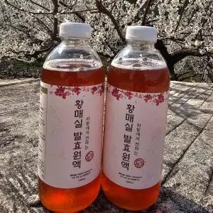 자연발효 3년숙성 수제 황매실청 2병