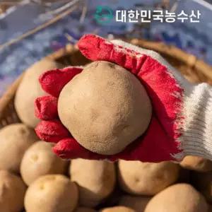 [대한민국농수산]제철 햇 감자 수미 3kg 5kg 국내산  원산지 국산)