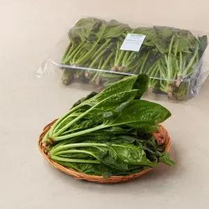 [기획] 대용량 시금치 400g