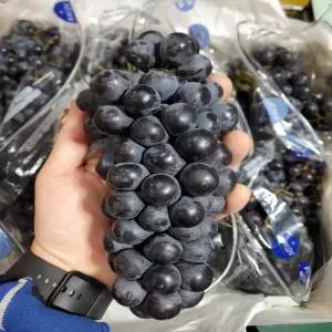 고당도 껍질째 먹는 씨없는 블랙포도 1kg 수입포도 18Brix 이상