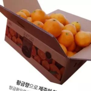 명절 설날 제주 황금향3kg 가정용흠과 실중량2.5kg 크기혼합과 과일 대량주문