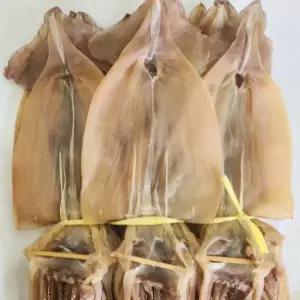 구룡포 해풍 마른오징어 10미(750g)